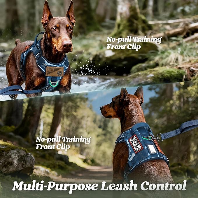 rabbitgoo Dog Harness for Small Dogs No Pull, Tactical Service Pet Vest with Molle and Control Handle, Adjustable and Reflective Military Harness for Easy Walking and Training, Blue Camo, S