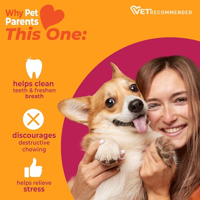 Nylabone Strong Chew Wishbone Dog Toy Made with Real Bacon, Durable Chew Toys for Aggressive Chewers, Long Lasting Dog Bone, Keeps Dogs Busy, Small Breeds - Up to 25 lbs