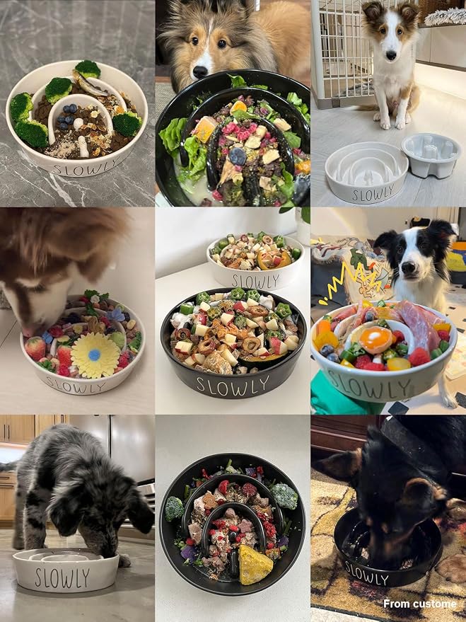 LE TAUCI PET Ceramic Slow Feeder Dog Bowl - 1.5 Cups Puzzle Feeder for Small & Medium Breeds, Maze Design Pet Dish for Puppy & Fast Eaters, Black Non-Slip Bowl to Control Eating Speed