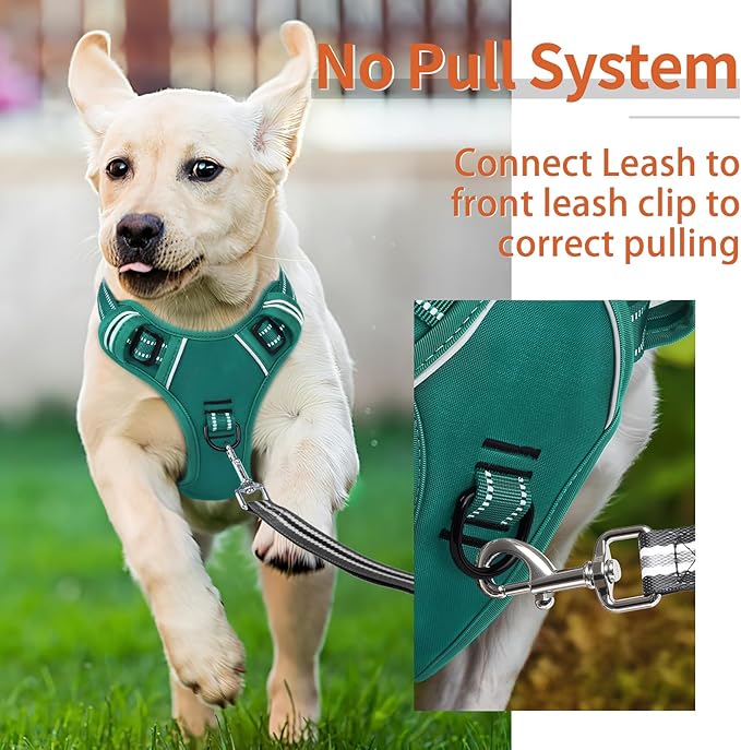 HEELE Dog Harness for Large Dogs No Pull Dog Vest Harness for Large Dog with Soft Padded Handle Reflective for Outdoor Training, Grass Green, L