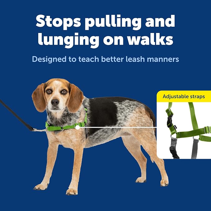 PetSafe Easy Walk No-Pull Dog Harness - Ultimate Harness to Help Stop Pulling - Pull-Free Walks - Take Control & Teach Better Leash Manners - Patented Martingale Loop Design - Green, Small/Medium