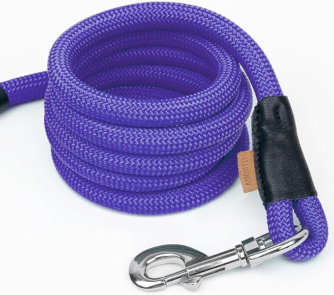 Dog Leash, Braided Rope Traction – Walking Training Lead for Small Dogs ((1/3") x 6FT, Purple)