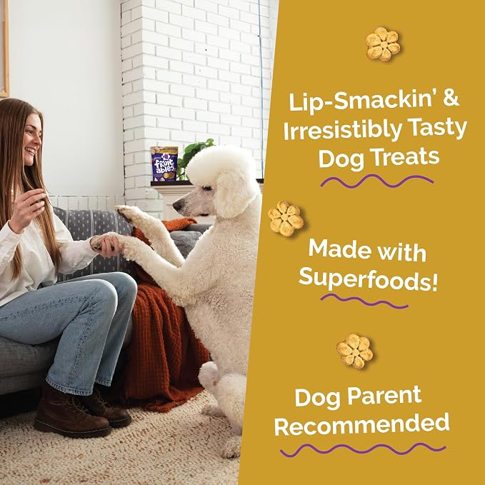 Fruitables Baked Dog Treats, Healthy Pumpkin Treat for Dogs, Low Calorie & Delicious, Made Without Wheat, Corn and Soy, Made in the USA, Allergy Friendly, Chicken and Cranberry Flavor, 20 oz