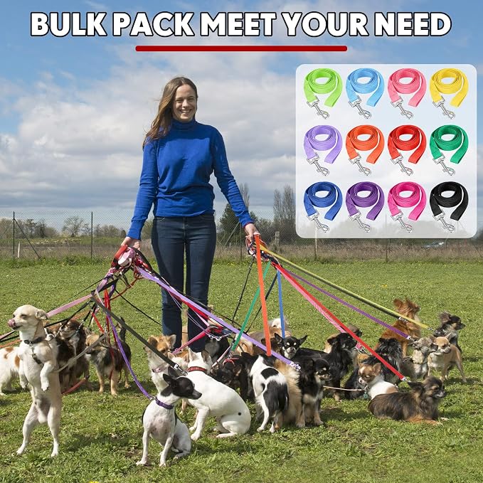 Hillban 12 Pcs Nylon Puppy Training Leash Bulk 5ft Dog Leash for House Line 12 Colors Puppy Line Traction Rope for Small Medium Dog Training, Play, Camping, or Backyard(Modern Colors)