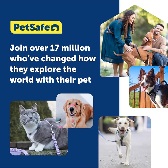 PetSafe Easy Walk Comfort No-Pull Dog Harness Padding - Better Walks on 1st Use - 5 Points of Adjustment Large, Green Gingham