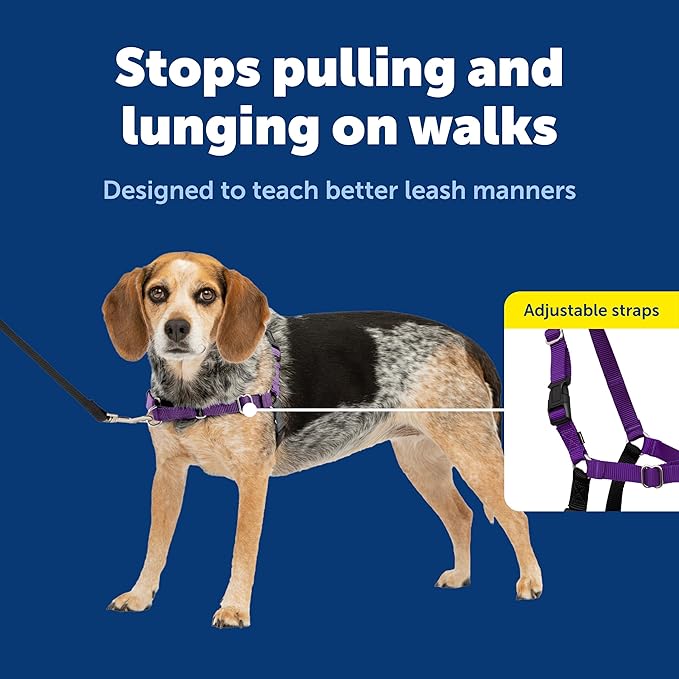 PetSafe Easy Walk No-Pull Dog Harness - Ultimate Harness to Help Stop Pulling - Pull-Free Walks - Take Control & Teach Better Leash Manners - Patented Martingale Loop Design - Purple, Small/Medium