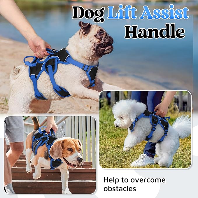 rabbitgoo Escape Proof Dog Harness Large Dogs, Soft Padded Full Body Pet Harness, Reflective Adjustable No Pull Vest with Lift Handle and Leash Clip for Walking Hiking Training, Blue & Black, S