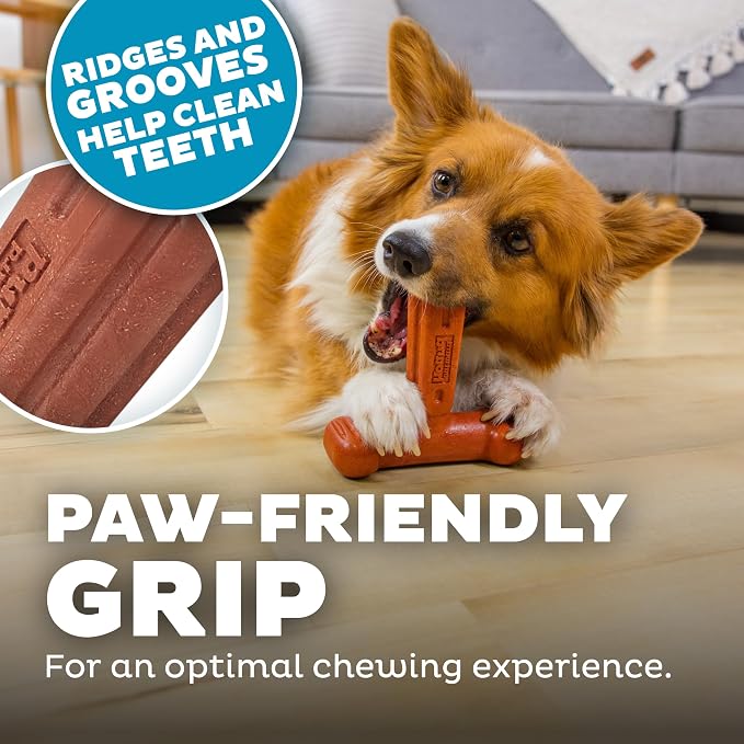 Dogwood Hold & Chew Dog Toy – Real-Wood Blend, Beef Scented, 3 Chewable Ends, Moderate Chewers, Large, 5" x 5.2" x 2.2"