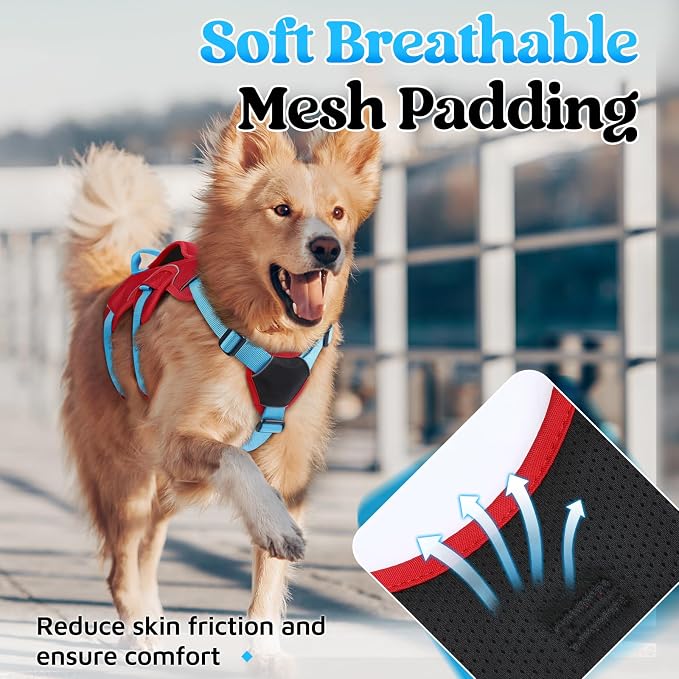 rabbitgoo Escape Proof Dog Harness Large Dogs, Soft Padded Full Body Pet Harness, Reflective Adjustable No Pull Vest with Lift Handle and Leash Clip for Walking Hiking Training, Blue & Red, M