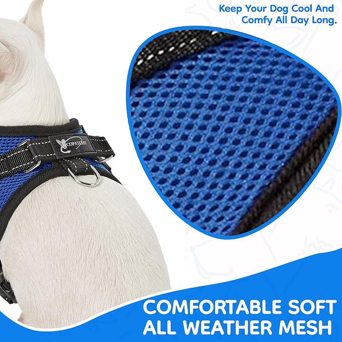 No Pull Reflective Adjustable Dog Harness With Handle- Comfortable Soft All Weather Mesh, Easy On Puppy Harness For Small Medium and Large Dogs (Blue) X-Small