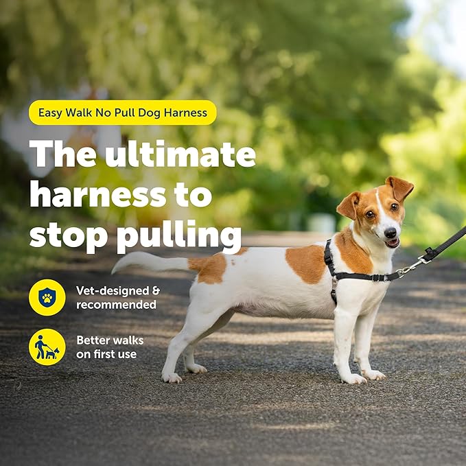 PetSafe Easy Walk No-Pull Dog Harness - Ultimate Harness to Help Stop Pulling - Pull-Free Walks - Take Control & Teach Better Leash Manners - Patented Martingale Loop Design - Black, Small