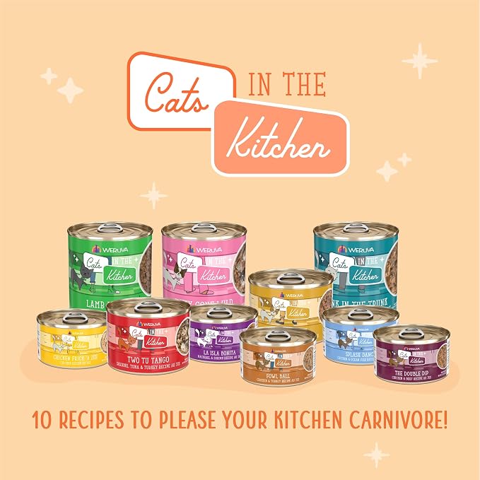 Weruva Cats in The Kitchen, Funk in The Trunk with Chicken in Pumpkin Consomme Cat Food, 3.2oz Can (Pack of 24)