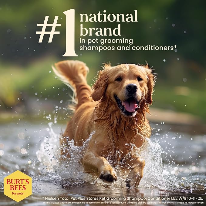 BURT'S BEES FOR PETS Hypoallergenic Dog Shampoo with Shea Butter and Honey, Gentle Fragrance Free Shampoo for Sensitive Dogs with 95% Natural Origin Skin and Coat Formula, 16 Fl Oz - 6 Pack