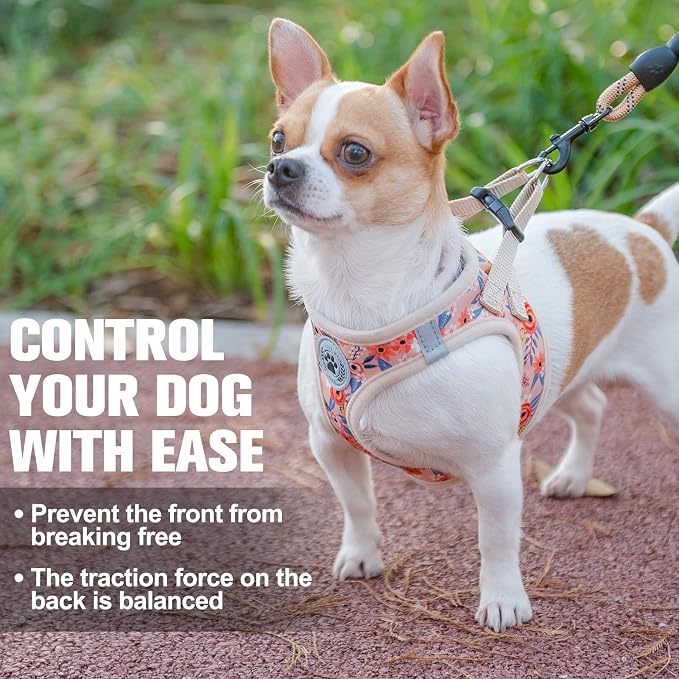 BEAUTYZOO Step in Dog Harness and Leash Set, Floral Pattern Reflective Dog Harness No Pull No Choke Puppy Harness for XXS XS S Dogs Cats, Soft Padded Mesh Vest Harnesses for Girl and Boy Pets