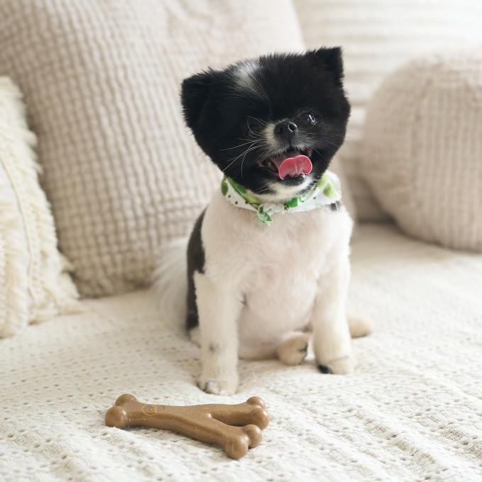 SPOT Bam-Bones Wishbone Dog Chew Toy, Bamboo Fiber Blend, Non-Splintering Durable Chew for Light to Moderate Chewers, Adult Dogs & Teething Puppies 10–30 lbs, Chicken Flavor, 5.25 in