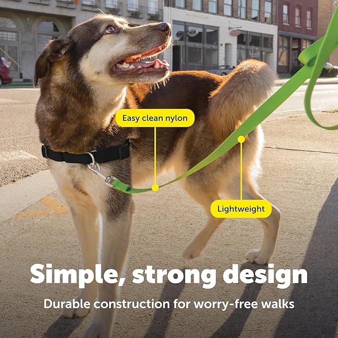 PetSafe Nylon Dog Leash - Strong, Durable, Traditional Style Leash with Easy to Use Bolt Snap - 1 in. x 6 ft., Apple Green