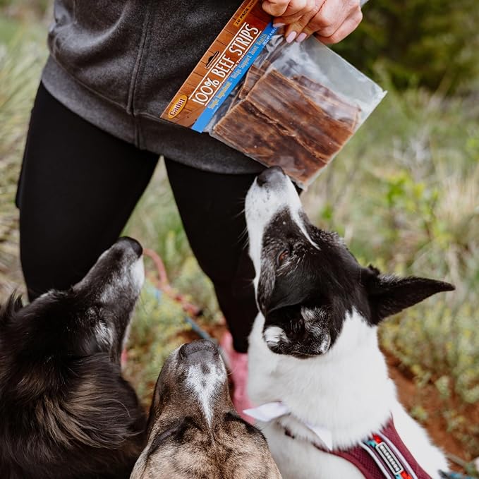 Cadet 100% Beef Strips Dog Treats, Single Ingredient Beef Esophagus Dog Jerky, Healthy High Protein Rawhide Alternative for Small & Large Dogs, 1.4 Ounce