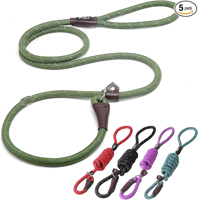 Fida Durable Slip Lead Dog Leash Bulk Pack of 5, Heavy Duty 1/2" x 6 FT Comfortable Strong Rope Slip Lead for Large, Medium & Small Dogs No Pulling Pet Training Leash with Highly Reflective (Mixed)