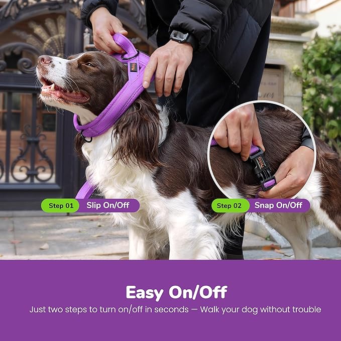 Didog No Pull Dog Harness with Breathable Mesh Padded,Reflective & Quick Fit Light Weight Dog Strap Vest Harness,Easy for Walking Training (XS:Chest 15-18", Purple)