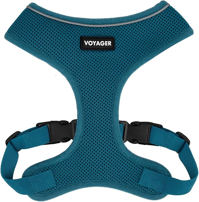 Best Pet Supplies Voyager Aerolite Over the Head Dog Harness, No Pull Breathable Air Mesh Vest, Quick Dry with Reflective Stitching, Adjustable Escape Resistant Harness - Turquoise, X-Small