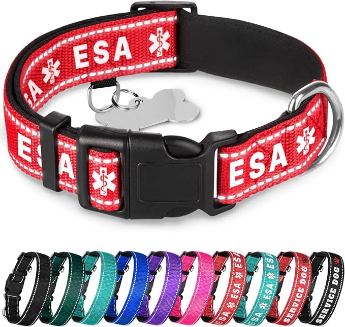 TECEUM Reflective Pet Collar – Red - ESA – L – Extra Soft Padding – Basic Nylon Dog Collar – Quick Release Buckle – Fits Small, Medium and Large Dogs, Puppies, Cats – ESA & Service Dog Options