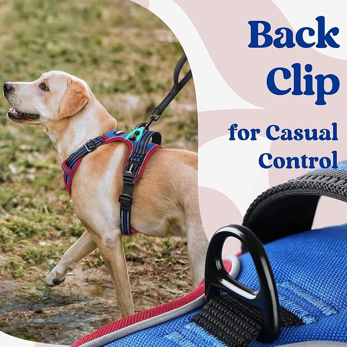 rabbitgoo Dog Harness Small Sized, No Pull Easy On & Off with 3 Buckles Pet Harness, Adjustable Soft Walking Vest with 2 Clips and Handle, Reflective for Small Dogs, Royal Blue & Red, S