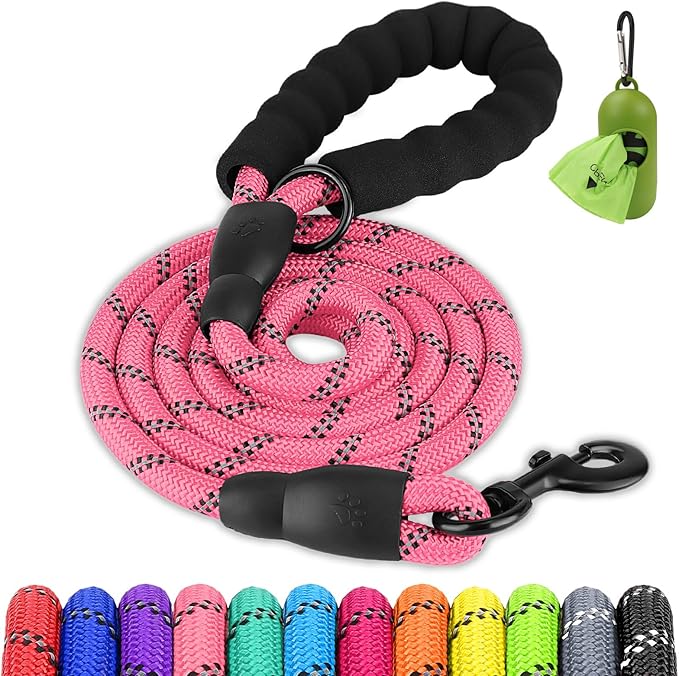 Joytale Dog Leash for Small Dogs, Heavy Duty Nylon Leashes with Comfortable Padded Handle and Highly Reflective Threads, Ideal for Walking and Training, Pink, 5'×3/8''