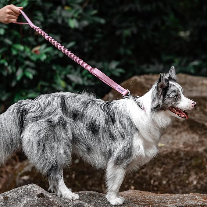 OneTigris Tactical Dog Training Bungee Leash with 2 Control Handle Quick Release Nylon Leads Rope