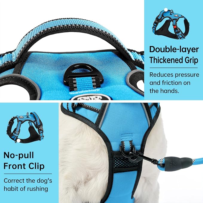 IVY&LANE No Pull Dog Harness for Medium Dogs, Dog Vest Harness with Leash, Safety Belt and Storage Strap, Fully Adjustable, 360° Reflective Strip, Soft Handle (Blue, M)