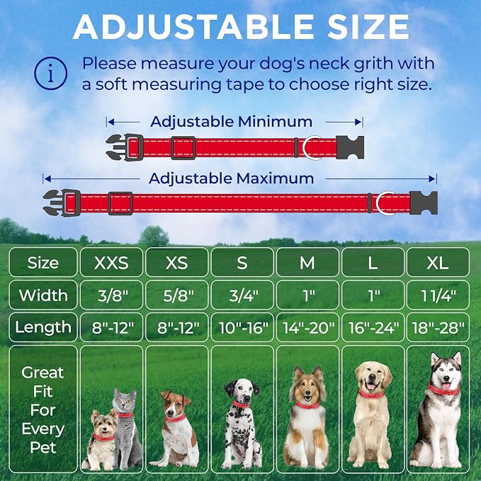 TECEUM Reflective Dog Collar – Red – L – Extra Soft Padding – Basic Nylon Pet Collar – Quick Release Buckle – Fits Small, Medium and Large Dogs, Puppies, Cats – ESA & Service Dog Options