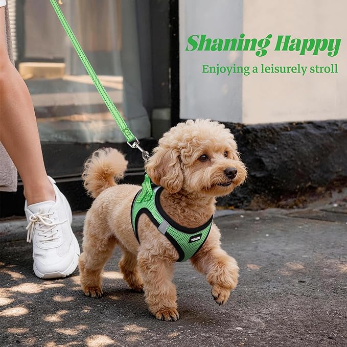 YIMEIS Dog Harness and Leash Set, No Pull Soft Mesh Pet Harness, Reflective Adjustable Puppy Vest for Small Medium Large Dogs, Cats (Grass Green, X-Small (Pack of 1)