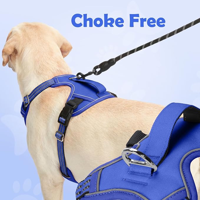 Funfox Dog Harness No Pull, Adjustable Pet Vest Harness, Super Soft Material with Vertical Handle Easy Control, Reflective Night Walking, 2 Leash Clips for Small Sized Dogs, Blue, S