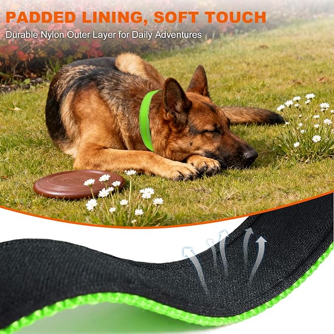 Taglory Reflective Dog Collar for Large Dogs, Soft Neoprene Padded with Escape-Proof Locking Buckle, Upgraded Zinc Alloy Ring, Adjustable for Pitbull Labrador Retriever, Green,L