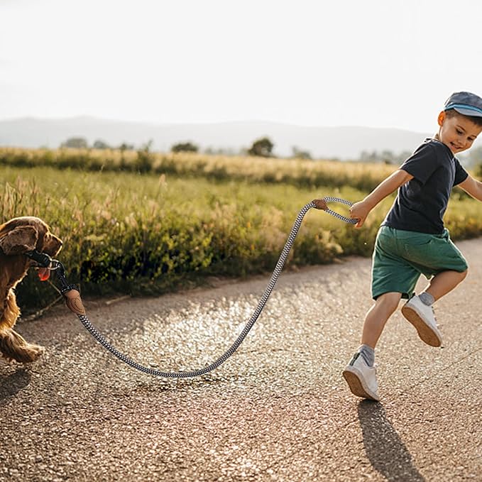 Mile High Life Rope Leash with Genuine Leather Connection, 6 FT/5 FT/4 FT, Heavy Duty Leash for Medium & Large Dogs (Brown, 60 Inch)