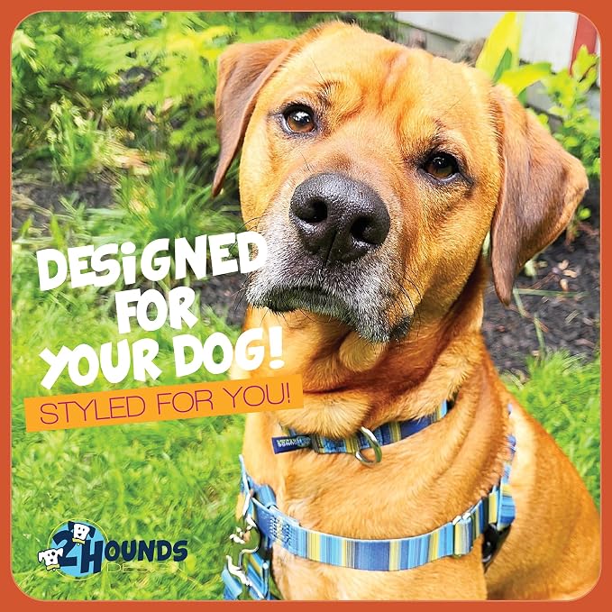 2 Hounds Design - Freedom No-Pull Harness & Training Leash in Blue and Green | Dual Leash Loops, No Pulling on Walks | Lined to Prevent Chaffing | for Small Sized Dogs (Size S, Chest 20”- 24”)