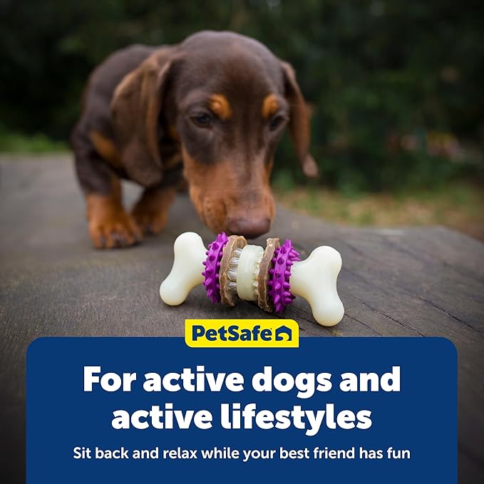 PetSafe Busy Buddy Bristle Bone Dog Chew Toy - Treat Holding Toothbrush Toy for Hard Chewers - Helps Keep Your Dog's Teeth Clean - Durable, Interactive - Purple, Medium