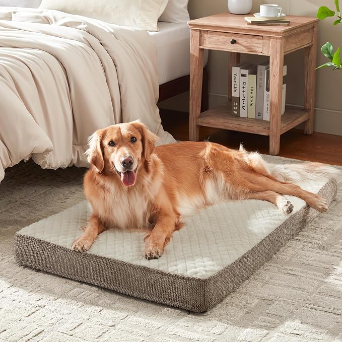 JOEJOY Orthopedic Medium Dog Bed, Washable Dog Crate Bed Medium Sized with Removable Cover, Egg Memory Foam Pet Beds, Beige, 29"x18"