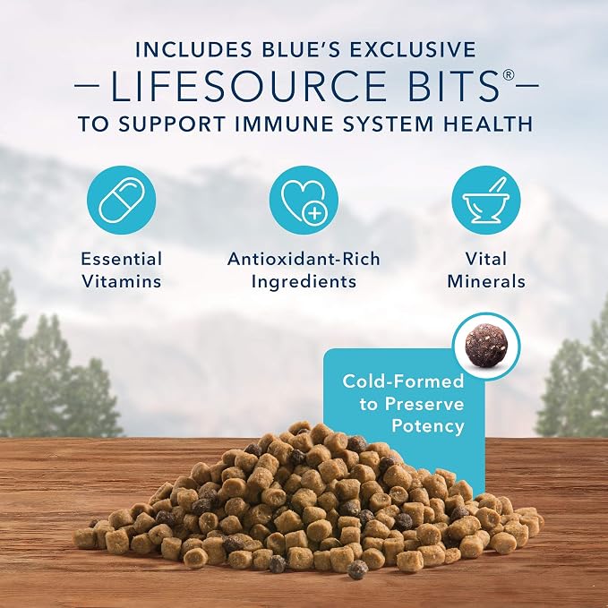 Blue Buffalo Wilderness High Protein, Natural Kitten Dry Cat Food, Chicken 2-lb (Pack of 2)