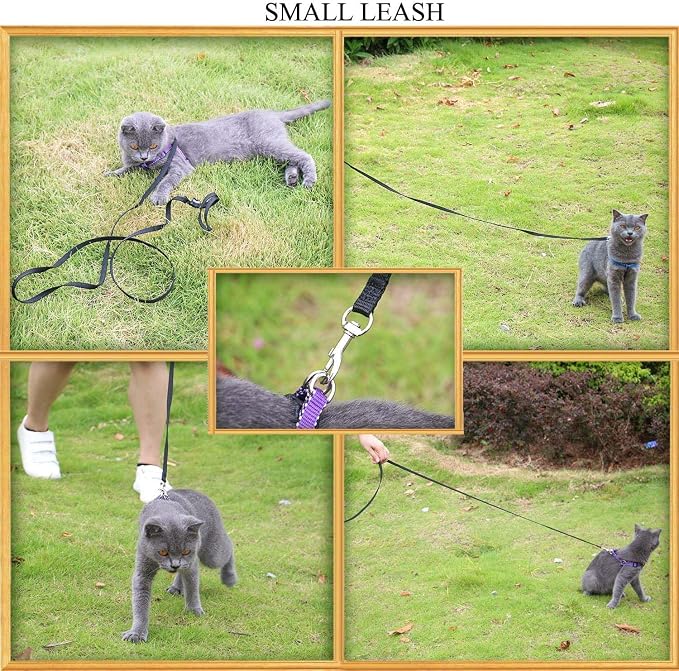 AMAGOOD 6 FT Puppy/ Dog Leash, Strong and Durable Traditional Style Leash with Easy to Use Collar Hook, Great for Small, Medium and Large Dogs (5/8 in x 6 ft, Black and Red (2-Pack))