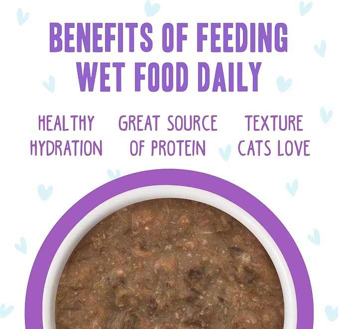 Weruva B.F.F. OMG - Best Feline Friend Oh My Gravy!, Best Day Eva! with Beef & Salmon in Gravy Cat Food, 2.8oz Can (Pack of 12)