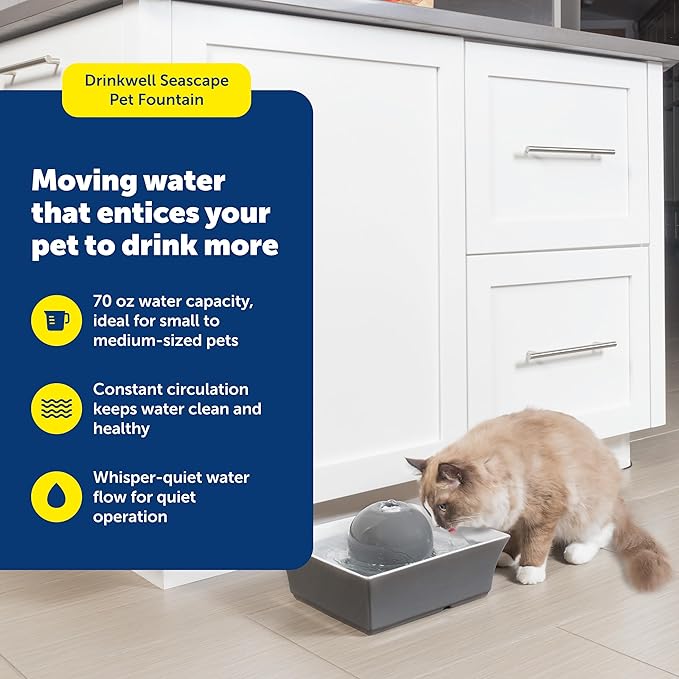 PetSafe Drinkwell Ceramic Pet Water Fountain - Quiet Automatic 70oz Dispenser for Cats & Dogs with Filters - Dishwasher Safe Square Design
