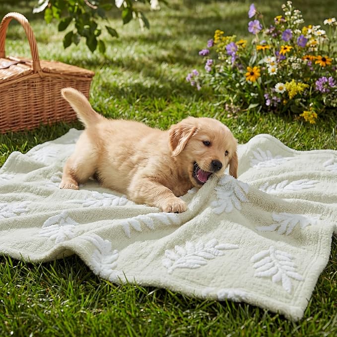 Horaldaily Pets Flannel Blanket, Beige Leaves 3D Textured Soft Fuzzy Fluffy Plush Cozy Fleece Premium Blankets for Dog Cat Puppy Kitten Couch Protection, 20x30