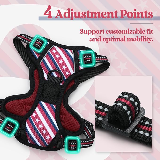 rabbitgoo Dog Harness No Pull with 2 Leash Clips, Adjustable Soft Padded, Reflective Oxford No Choke Pet Vest with Easy Control Handle for Large Dogs, Red Stripe, XS