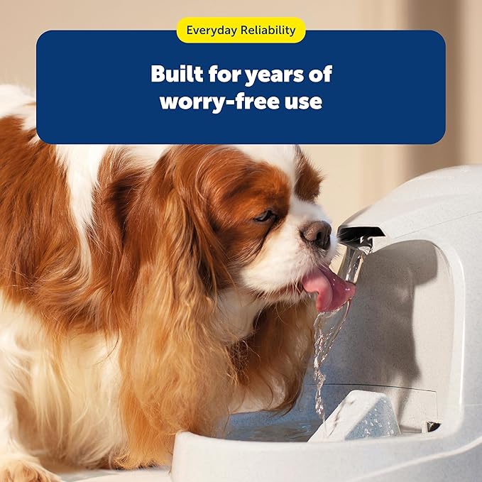 PetSafe Drinkwell Premium Replacement Carbon Filters, Dog and Cat Water Fountain Filters, Pack of 12