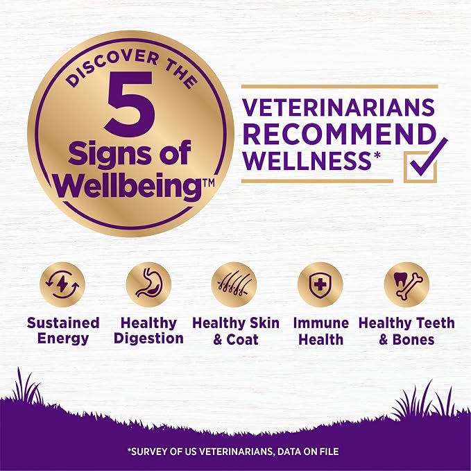 Wellness Complete Health Adult Dry Dog Food, Grain Free Kibble, Natural, Lamb Recipe, 22 lb Bag