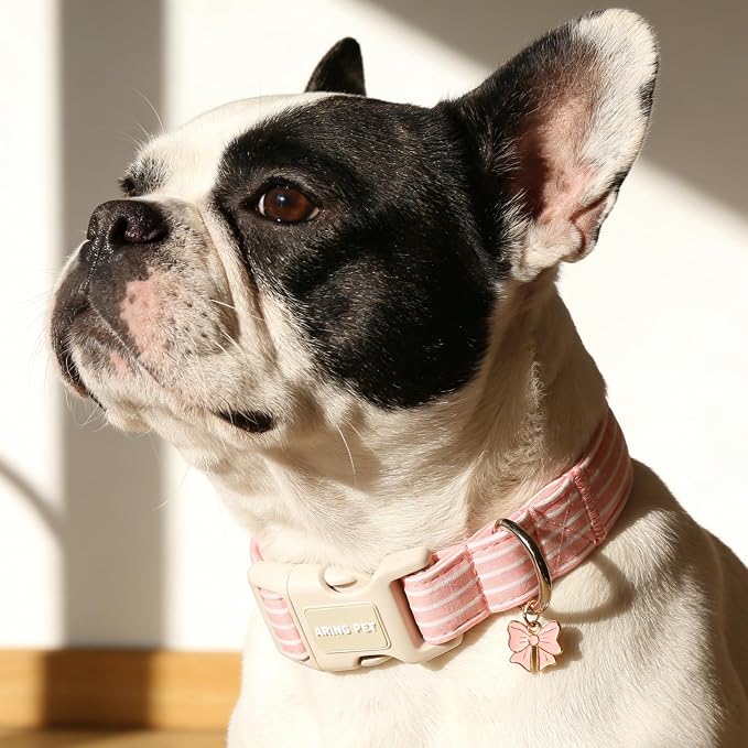 ARING PET Stripe Dog Collar, Cute Spring Summer Pink Stripe Pet Collars with Bow Charm for Puppy Small Medium Large Female Girl Dogs-S, for Daily Outdoor Walking Training