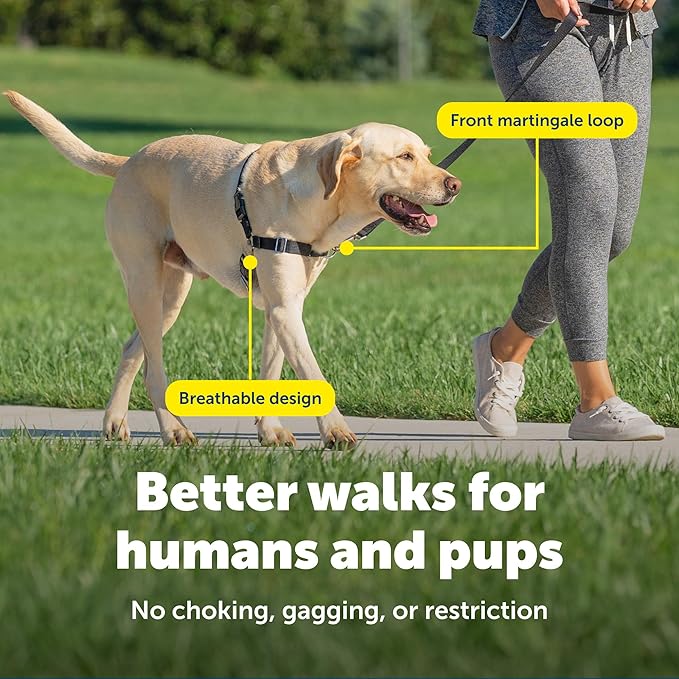 PetSafe Easy Walk No-Pull Dog Harness - Ultimate Harness to Help Stop Pulling - Pull-Free Walks - Take Control & Teach Better Leash Manners - Patented Martingale Loop Design - Raspberry, Large