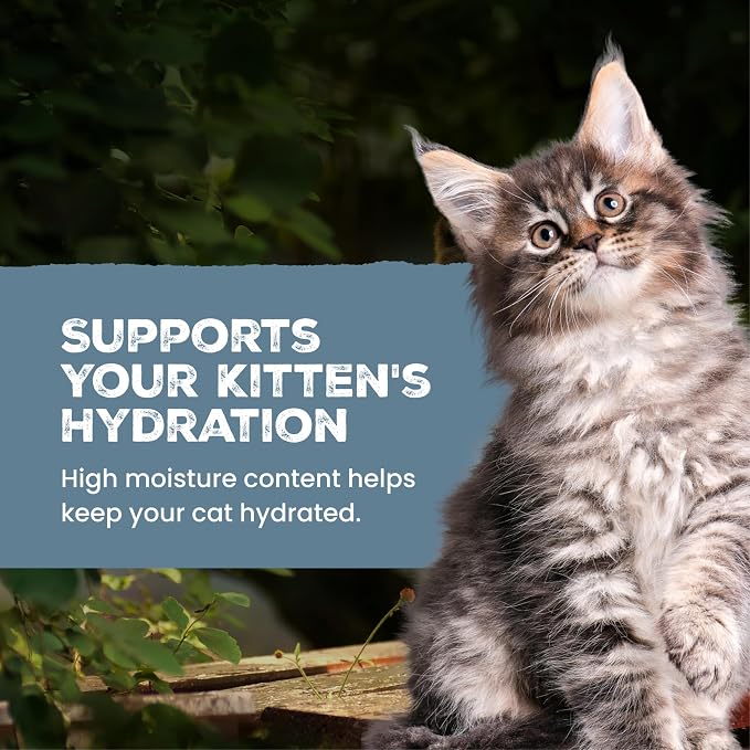 Blue Buffalo Wilderness Kitten Grain-Free Chicken Paté & Salmon Paté Wet Cat Food with DHA, High-Protein & Made with Natural Ingredients, Supports Healthy Growth & Development, 3-oz. Each (6 Count)