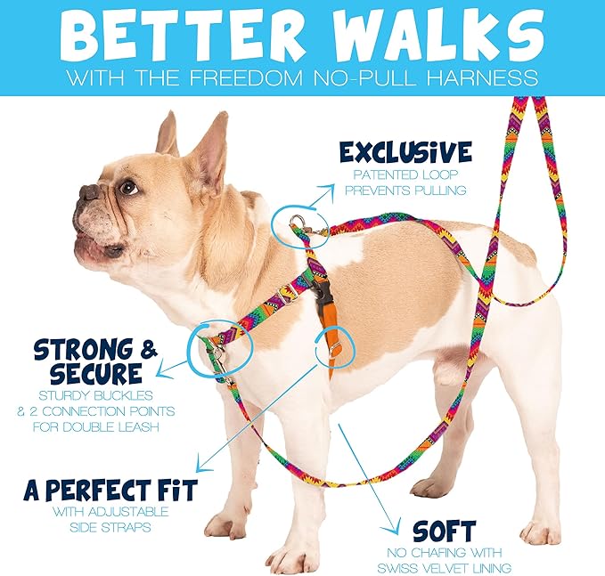 2 Hounds Design Freedom No Pull Dog Harness, Adjustable Harness and Leash Set, Easy Walking & Comfortable Control, Fits Small, Medium & Large Dogs, Solid Colors, Made in USA, 1" XXL, Brown