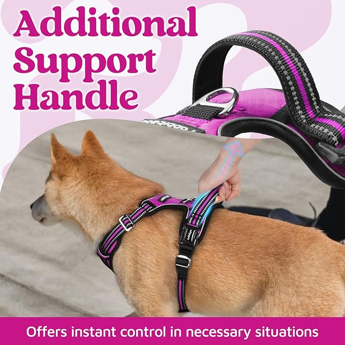 rabbitgoo Dog Harness for Large Dogs, 3 Buckles Easy On & Off No Pull Pet Vest, Soft Padded Walking Pet Harness with Control Handle, Adjustable and Reflective, Purple, L
